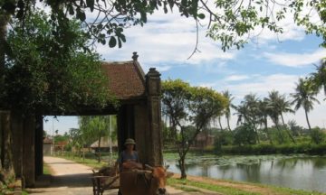 Day trip Ha Noi to Duong Lam village