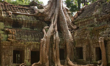 cambodia vacation package